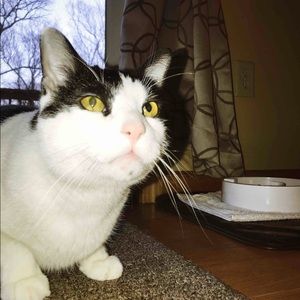 Meet your Posher, Aidan